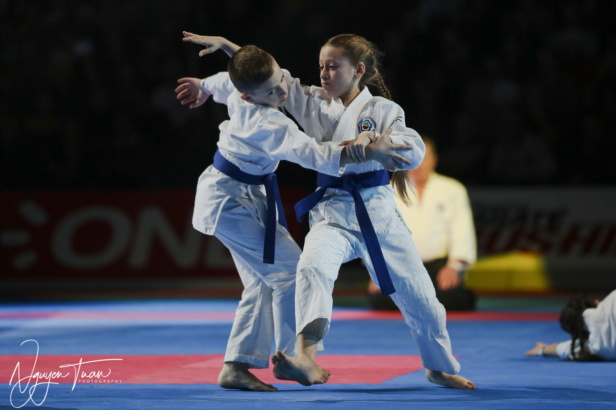 20190324 Festival des Arts Martiaux 3676